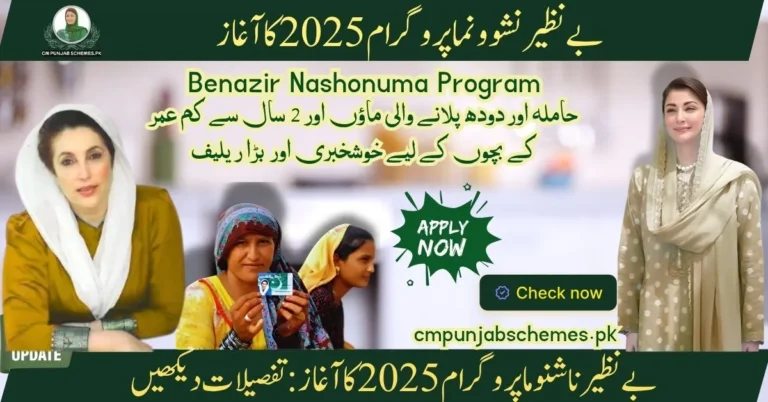 Benazir Nashonuma Program 2025
