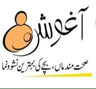 CM Punjab Aghosh Initiative