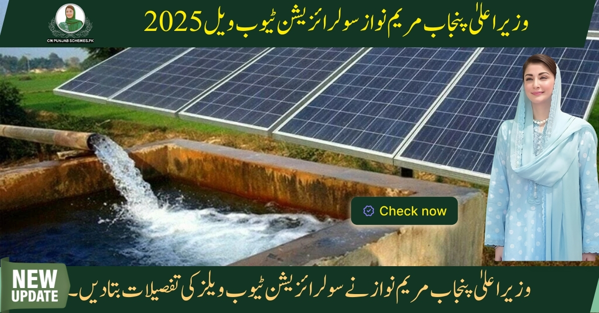 CM Punjab Solarization of Tube Wells