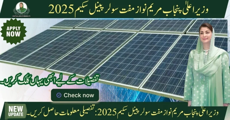 Free Solar Panel Program By CM Madam