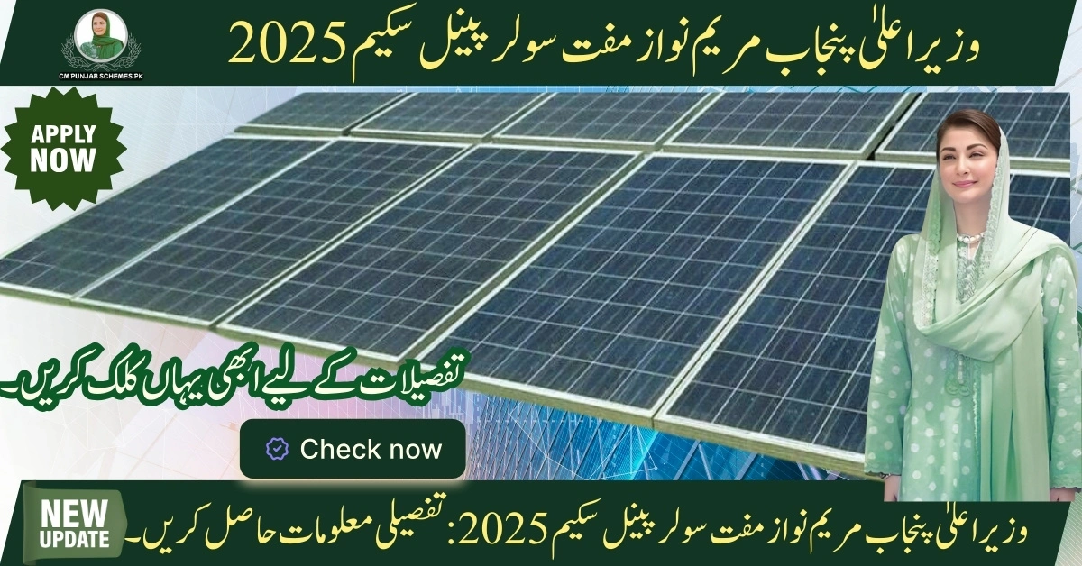 Free Solar Panel Program By CM Madam