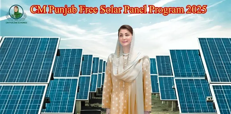 Free Solar Panel Program By CM Madam