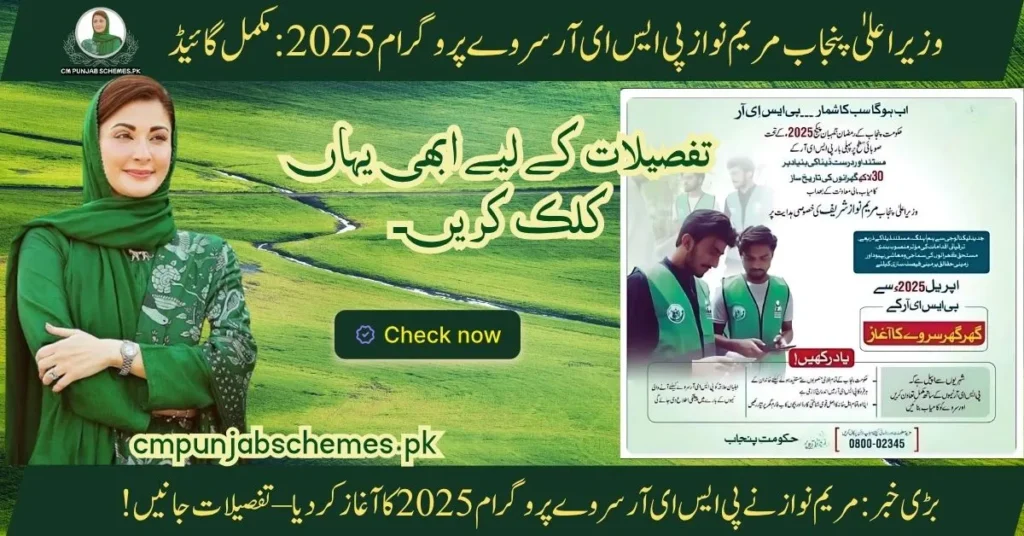 PSER Survey 2025 A Program by CM Maryam Nawaz