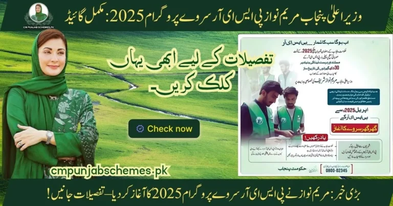 PSER Survey 2025 A Program by CM Maryam Nawaz