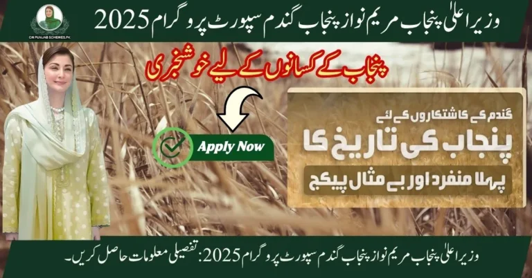 Punjab Wheat Support Initiative By CM Maryam Nawaz