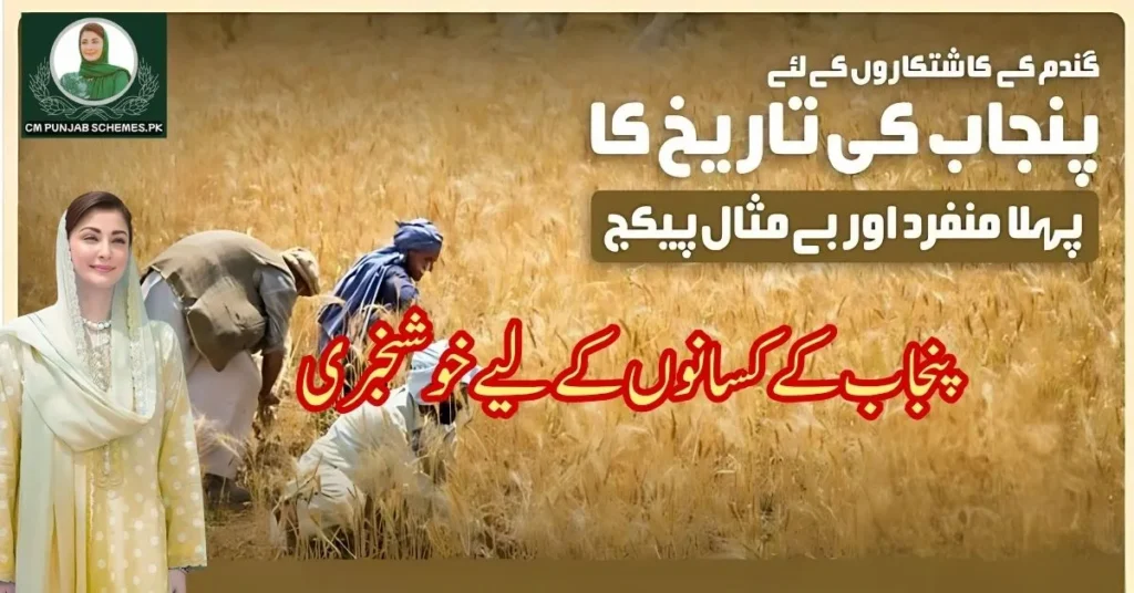 CM Maryam Nawaz's Punjab Wheat Support Initiative 2025: Transforming Agriculture 2 Punjab Wheat Support Initiative By CM Maryam Nawaz
