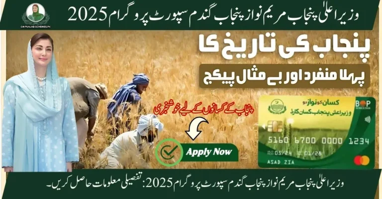 Punjab Wheat Support Program 2025 By Madam Maryam Nawaz