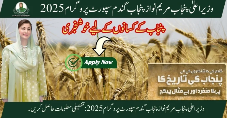 Wheat Support Initiative 2025