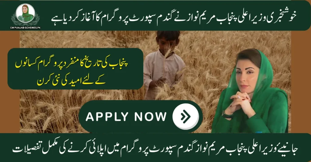 Wheat Support Program