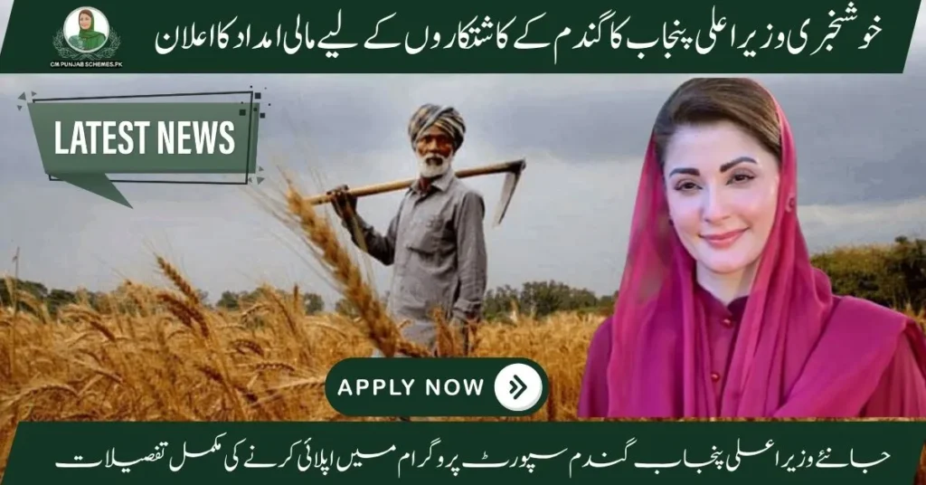 Wheat Support initiative