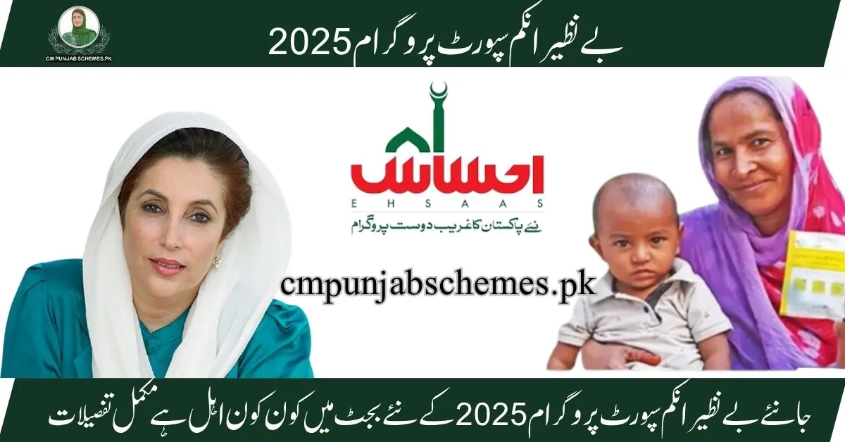 8171 BISP Ehsaas Program
