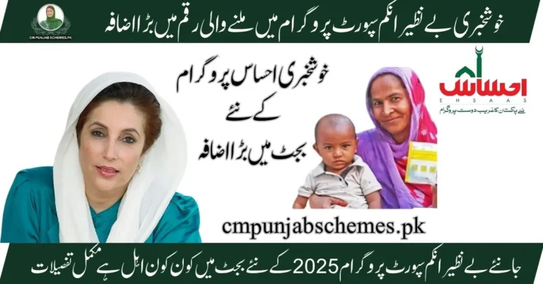 BISP Budget