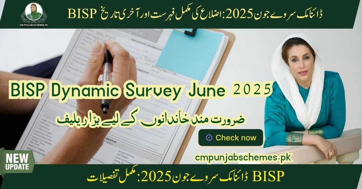 BISP Dynamic Survey 2025