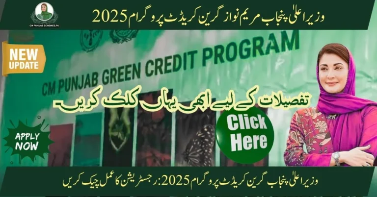 CM Punjab Green Credit Program 2025