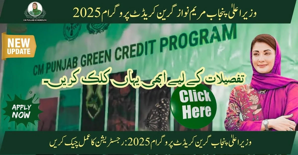 CM Punjab Green Credit Program 2025