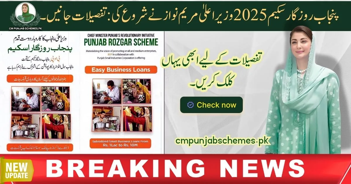 CM Punjab Rozgar Program