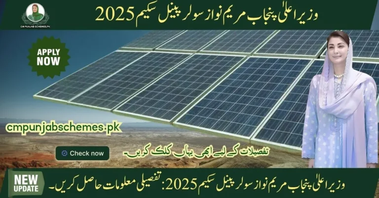 CM Punjab Solar Panel Scheme 2025