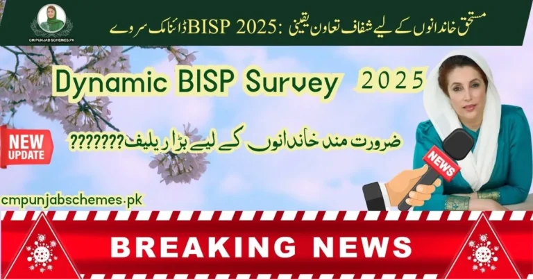 Dynamic BISP Survey