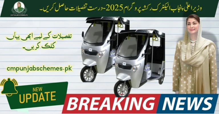 E Rickshaw Program