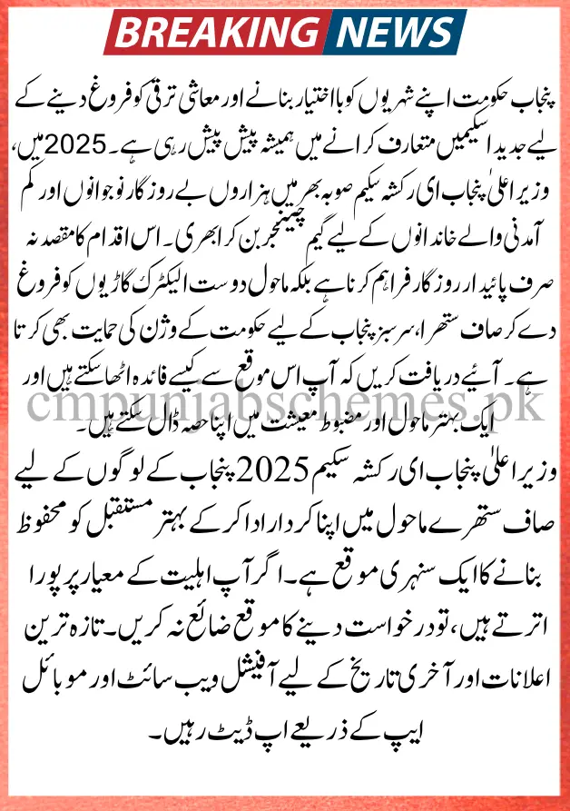 CM Punjab E Rickshaw Scheme 2025 : Comprehensive Guide On Application Process And New updates 2 E Rickshaw Scheme