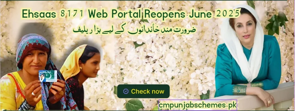 Ehsaas 8171 web portal