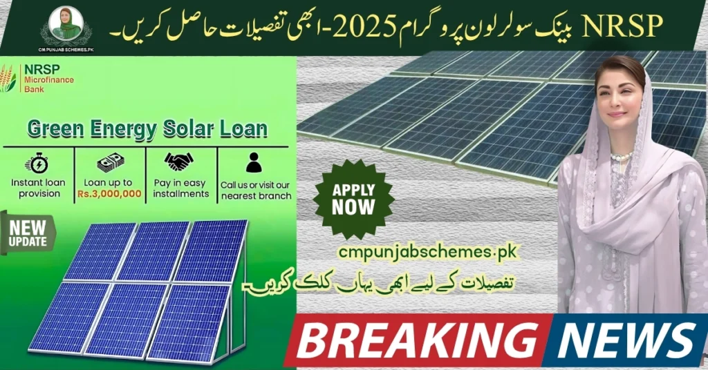 NRSP Solar Loan 2025 – Light Up Your Life with Affordable Energy – Complete Guidelines 6 NRSP Solar Loan