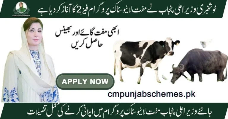 Punjab livestock initiative Phase 2