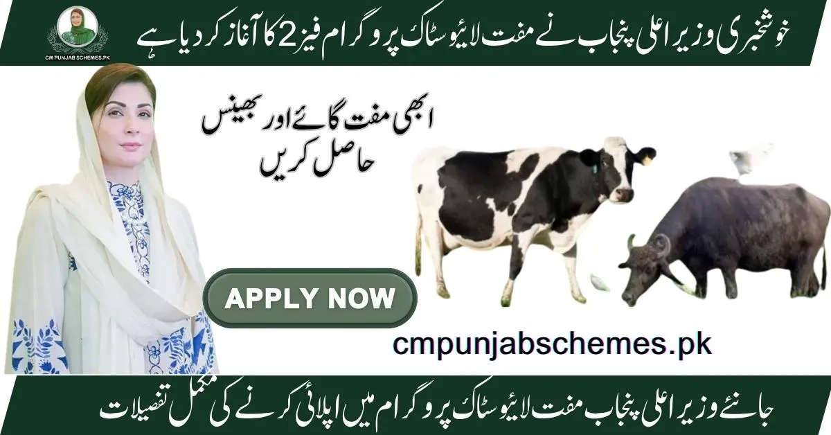 Punjab livestock initiative Phase 2