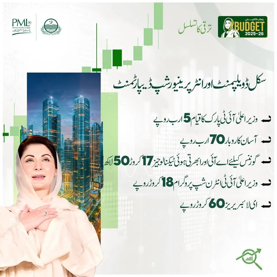 CM Punjab Announced Budget For Skill Development And IT Entrepreneurship 2 Skill Development And IT Entrepreneurship