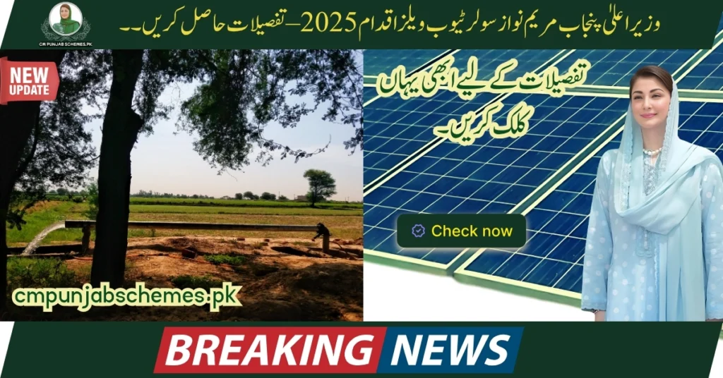 CM Punjab Solar Tubewell Initiative 2025 : Comprehensive Guide On Application Process 4 Solar Tubewell Initiative