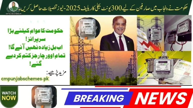 Govt gives for 300-Unit Electricity Relief for Users in Punjab โ 2025 Update News 4 300-Unit Electricity