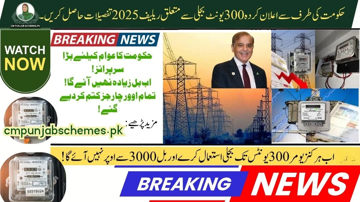 Finally, Some Good News : Govt Relief for 300-Unit Electricity Users in Punjab – 2025 Update 1 300-Unit Electricity Relief 2025