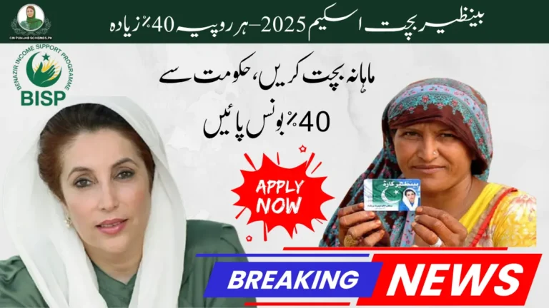 BISP Bachat Scheme