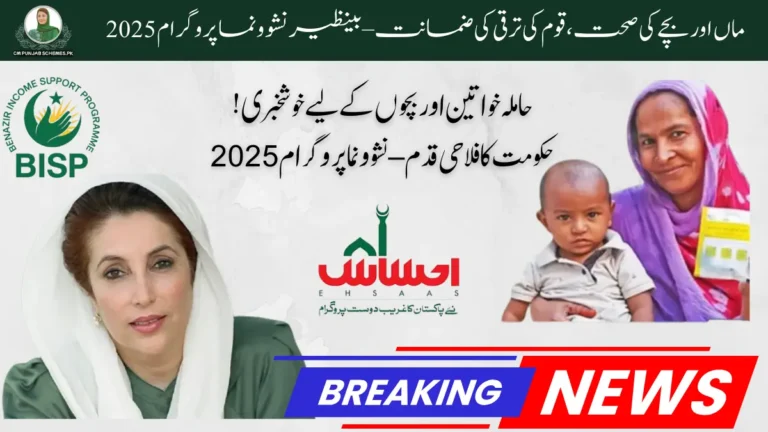 Benazir Nashonuma Initiative 2025 : Relief for Pregnant women & Kids in Pakistan 8 Benazir Nashonuma Initiative