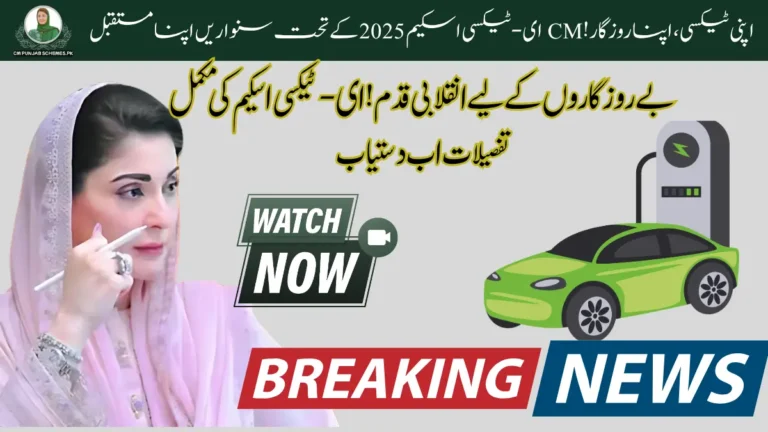 CM E-Taxi Scheme Full Guide On New Update 2025 3 CM E-texi Scheme 2025