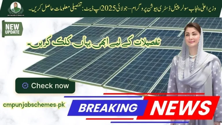 CM Punjab Solar Panel Distribution Program 2025