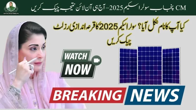 CM Punjab Solar Scheme