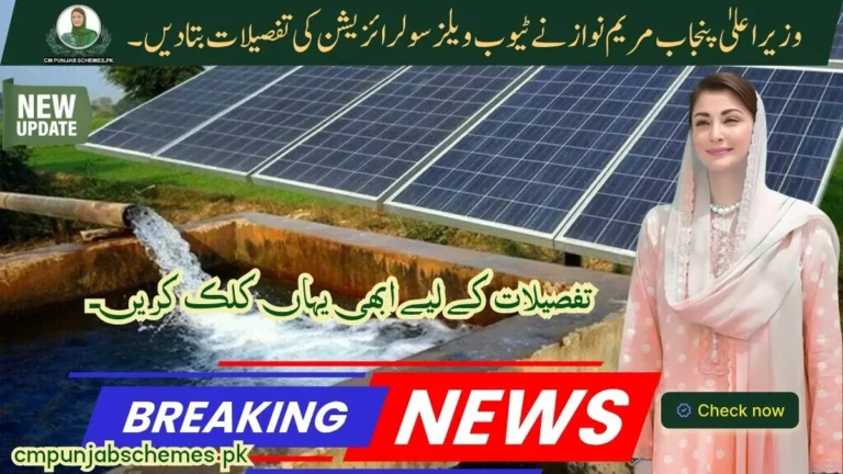 CM Punjab TubeWell Solarization Program