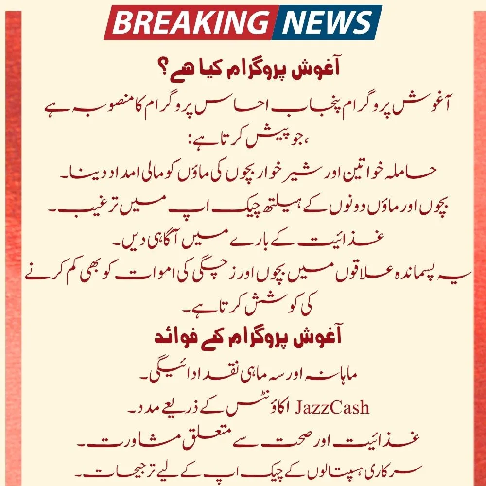 July 2025 CM Punjab Aghosh Program Check Payments and Eligibility 2 Punjab Aghosh Program 2025