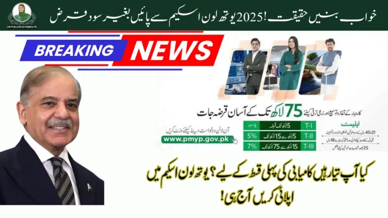 PM Youth Loan initiative 2025 : Full Guide On Loan Distribution and New Updates 8 Youth Loan initiative