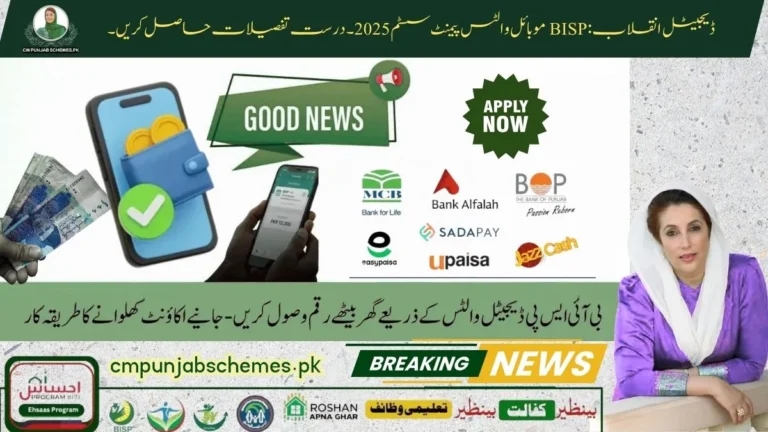 Good News! PM Announces BISP Digital Wallets 2025 : Home Payments for Beneficiaries 6 BISP Digital Wallets 2025