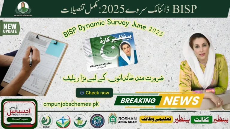 BISP Dynamic Survey 2025: Registration, Documents & Process 5 BISP Dynamic Survey 2025