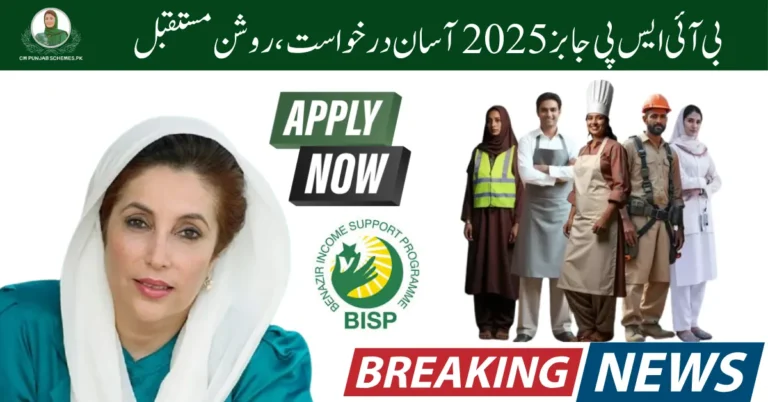 BISP Online Jobs Portal 2025: Step-by-Step Guide to Apply Successfully 6 BISP Jobs 2025
