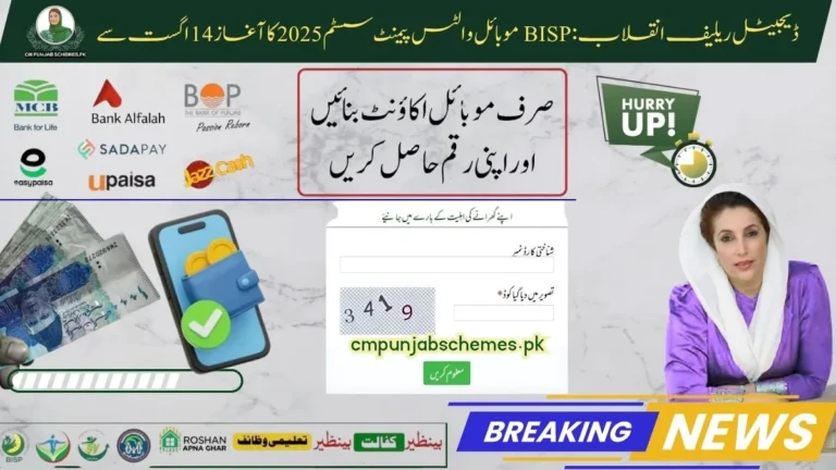 BISP Mobile Wallets Payment System 2025