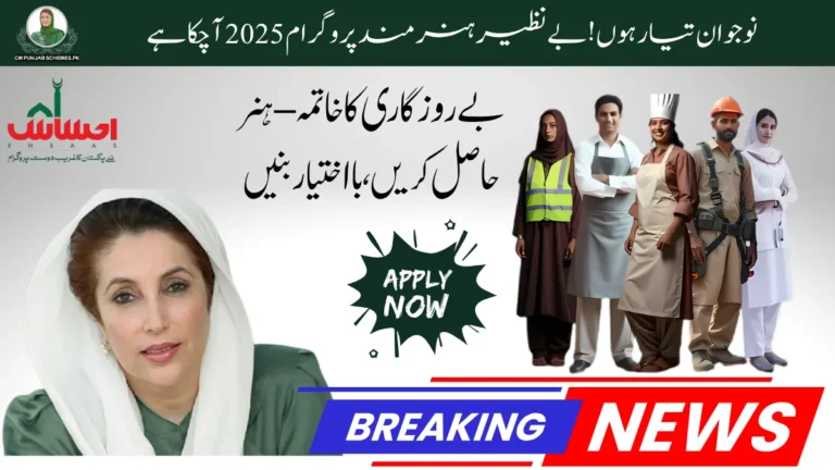 Benazir Hunarmand Initiative 