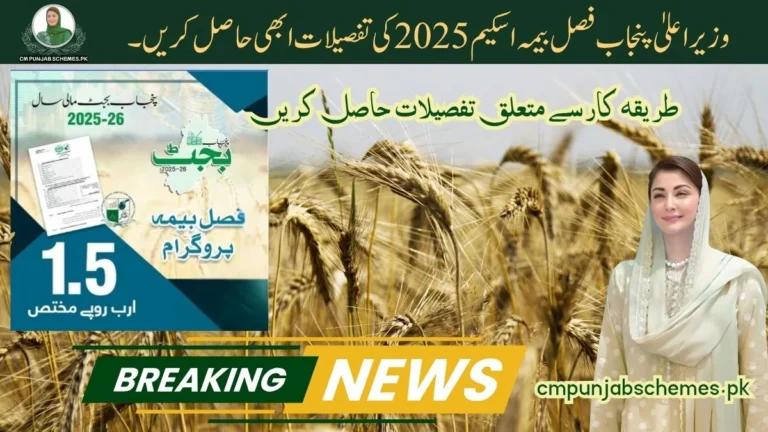 CM Punjab Crop Insurance Scheme 2025 โ A Lifeline by CM Maryam Nawaz 8 CM Punjab Crop Insurance Scheme 2025