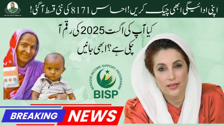 Ehsaas Program 8171 August 2025 โ Check Payment Status Online Now! 1 Ehsaas Program 8171
