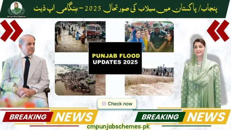 Punjab/Pakistan Floods Situation 2025 – Emergency Update 4 Floods Situation 2025
