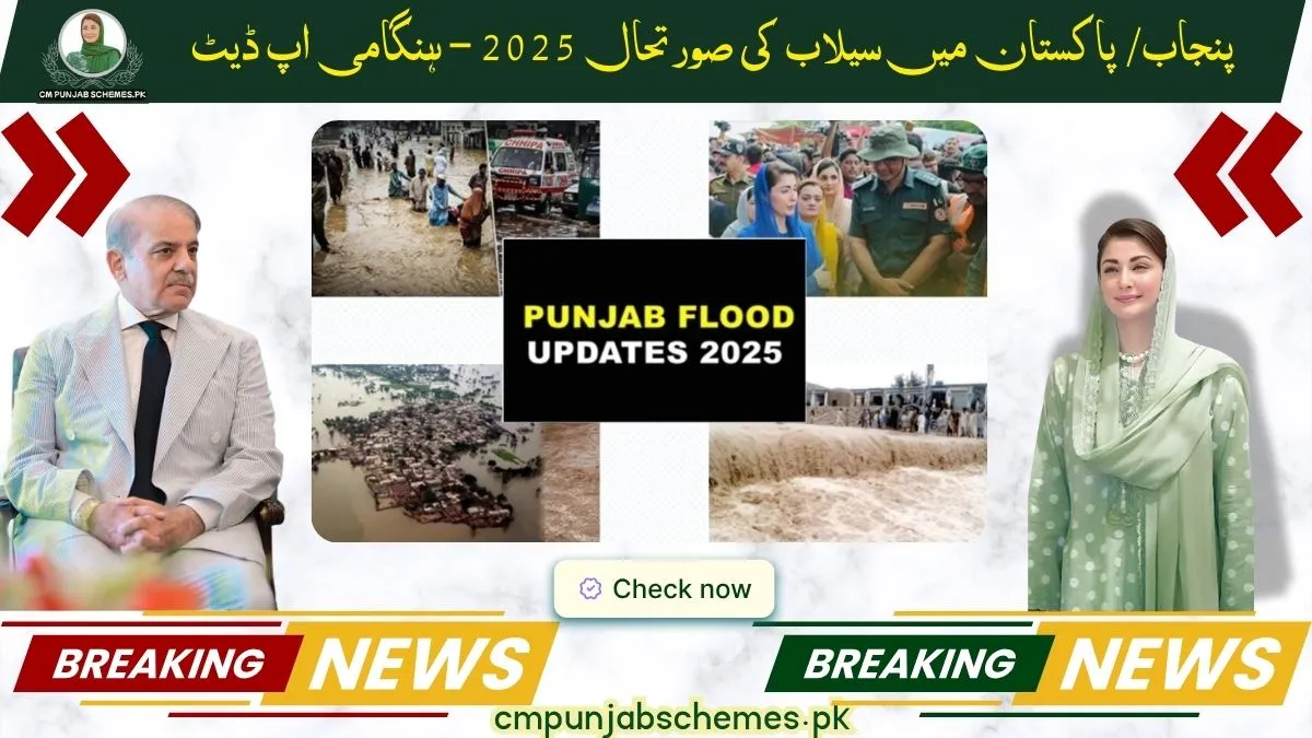 Punjab/Pakistan Floods Situation 2025 โ Emergency Update 1 Floods Situation 2025