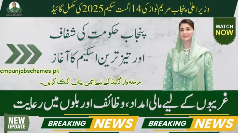 Complete Guide to Maryam Nawaz 14 August Scheme 2025 6 Maryam Nawaz 14 August scheme 2025